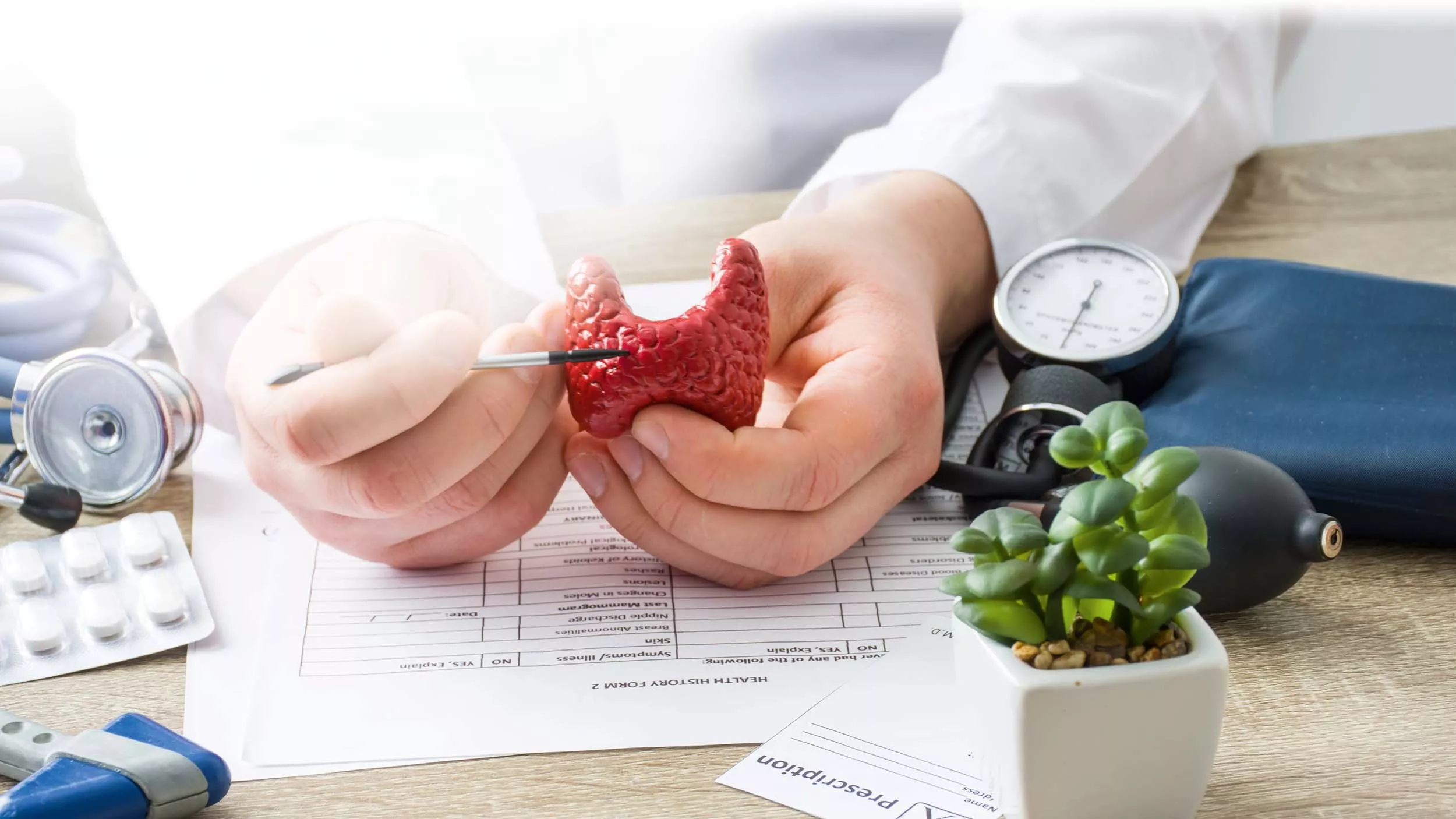 Selen und Vitamin D – auch für die Schilddrüse von Bedeutung