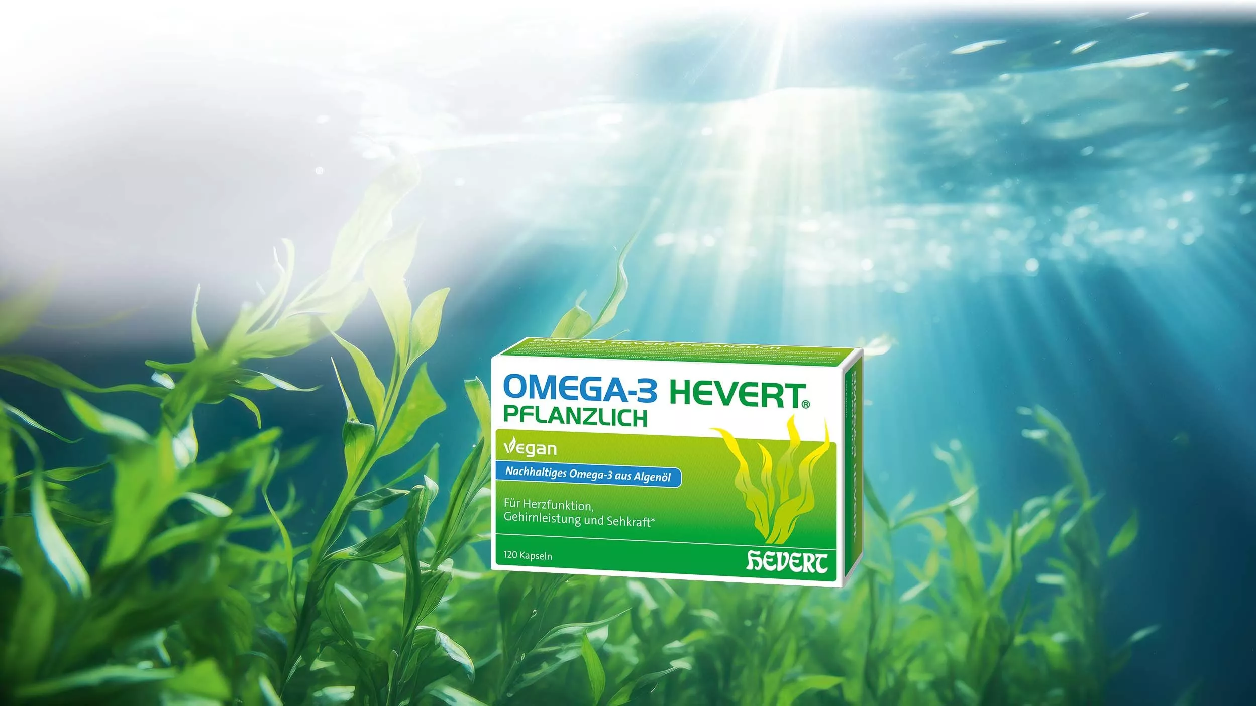 Neu: Omega-3 Hevert pflanzlich aus der Schizochytrium-Alge