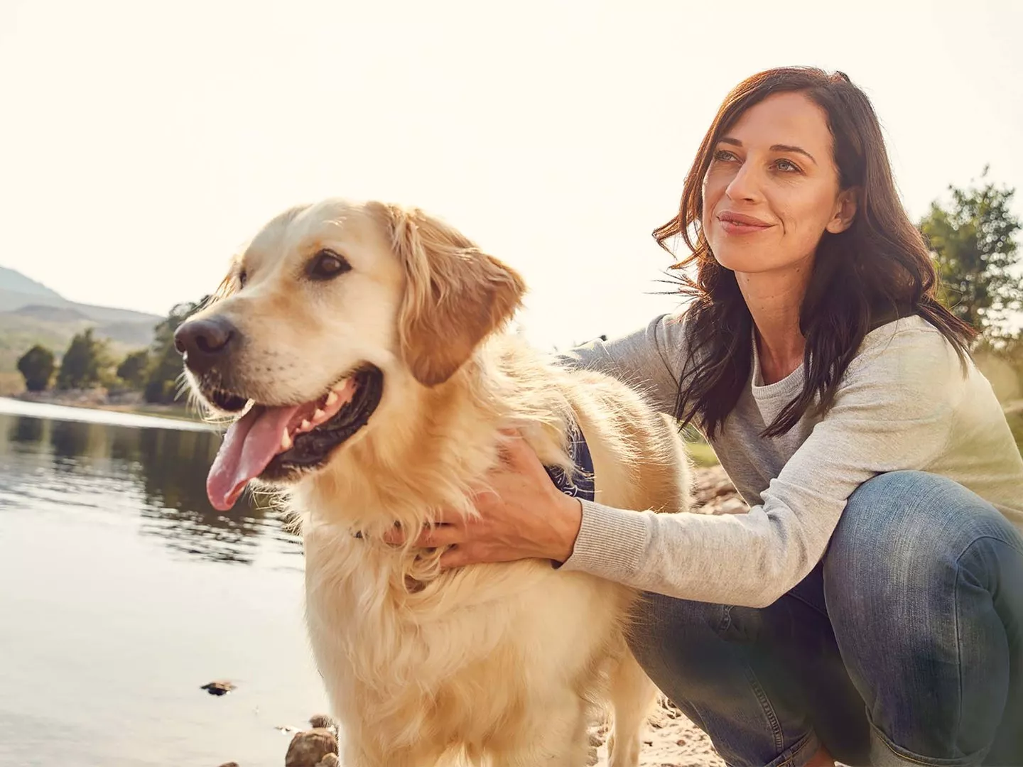 „Therapeuten“ auf vier Pfoten: Warum sind Haustiere so gut für unsere Gesundheit?