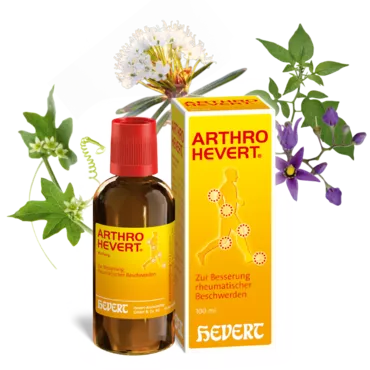 Arthro Hevert