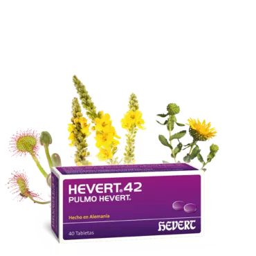 Hevert 42 – Pulmo Hevert
