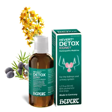Hevert Detox Kidney