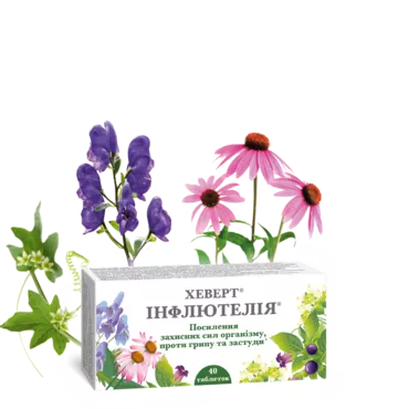 Hevert Inflyuteliya