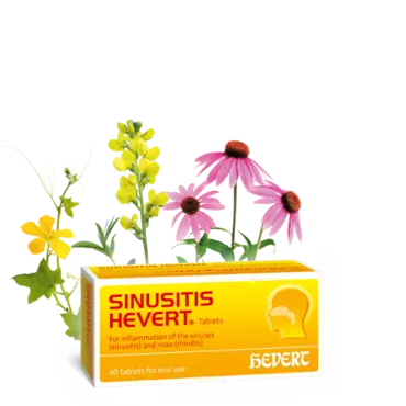 Sinusitis Hevert
