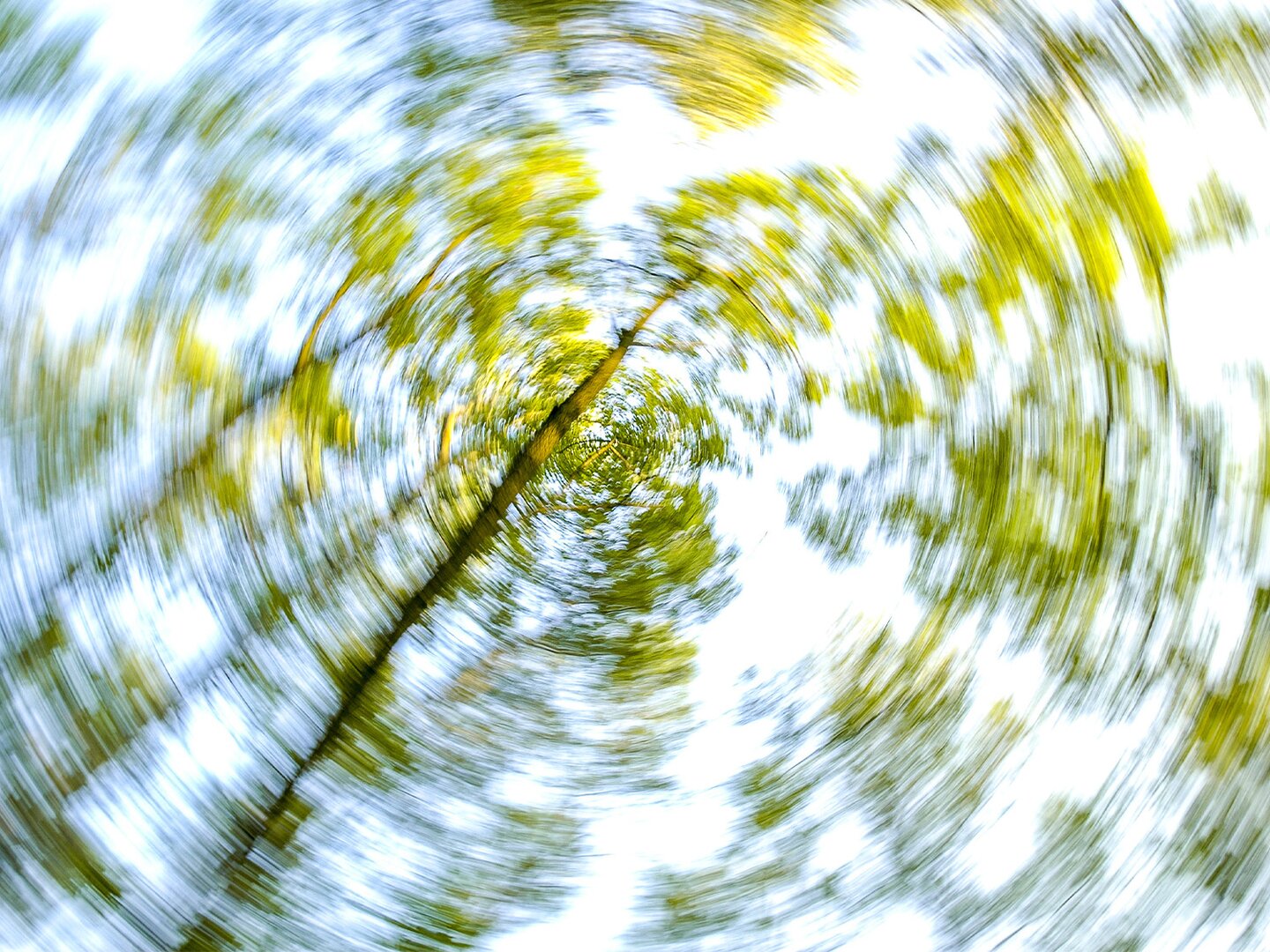 Wenn sich alles dreht – Ursache und Behandlung von Schwindel