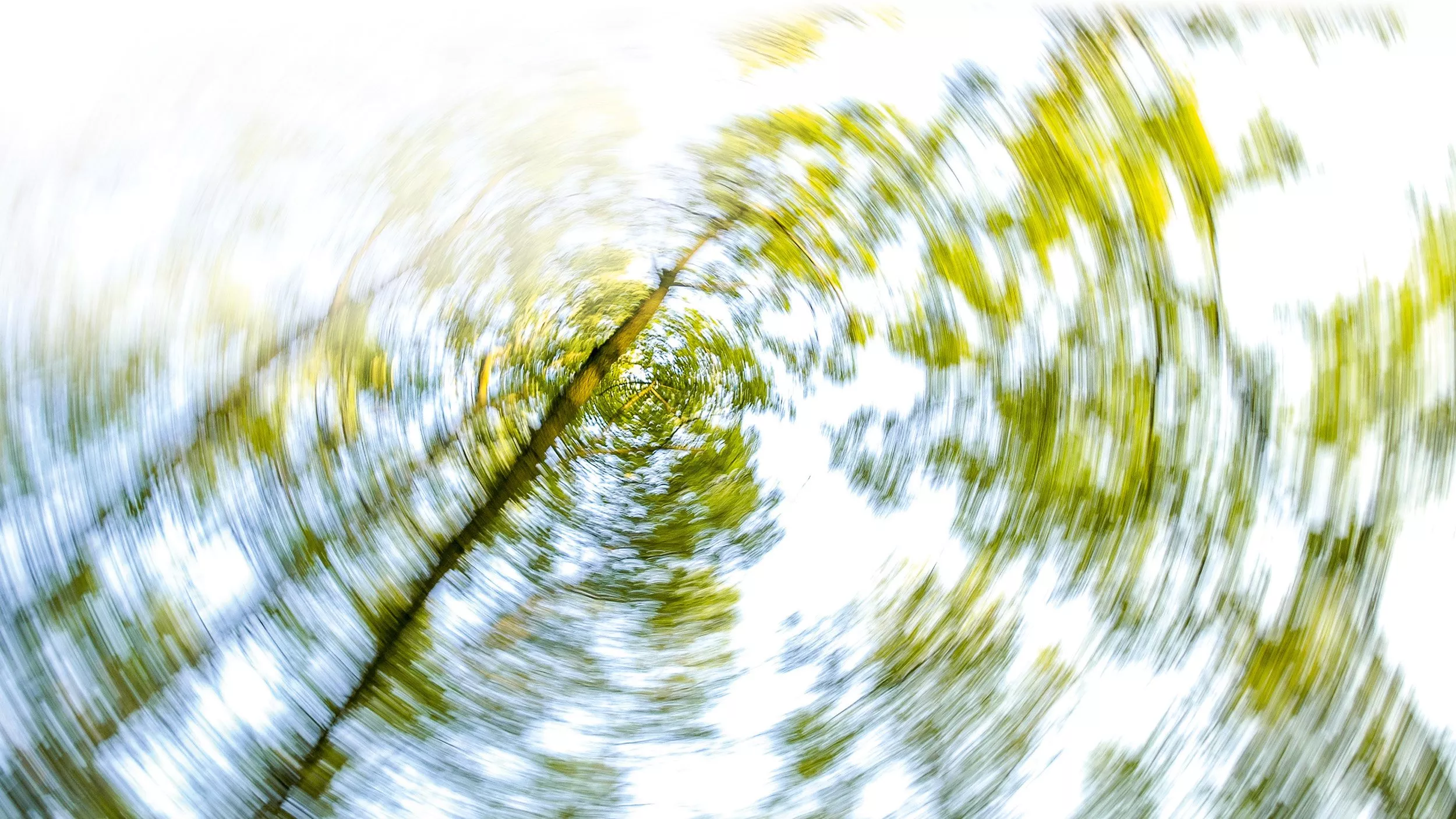 Wenn sich alles dreht – Ursache und Behandlung von Schwindel