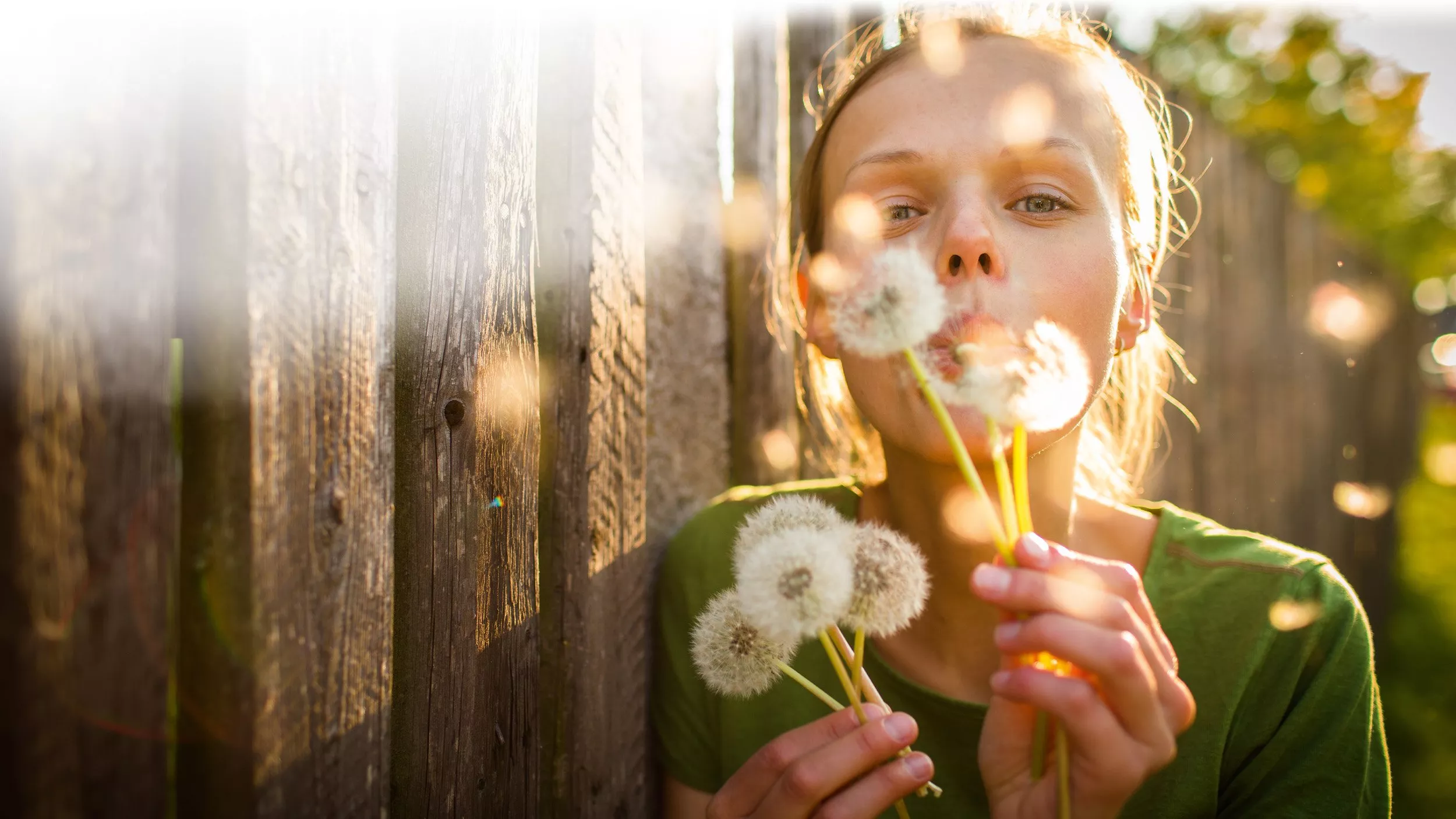 Pollenallergie: Mehr Pollen durch den Klimawandel