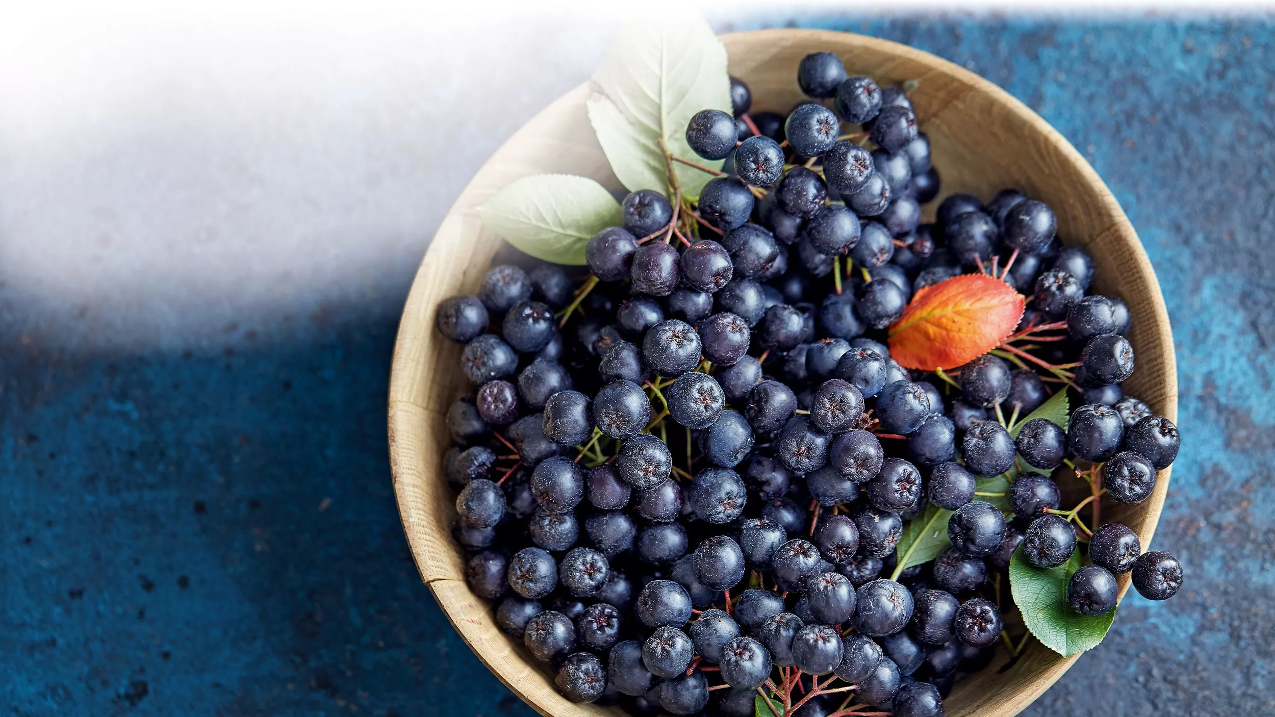Antioxidantien: Zellschutz gegen freie Radikale