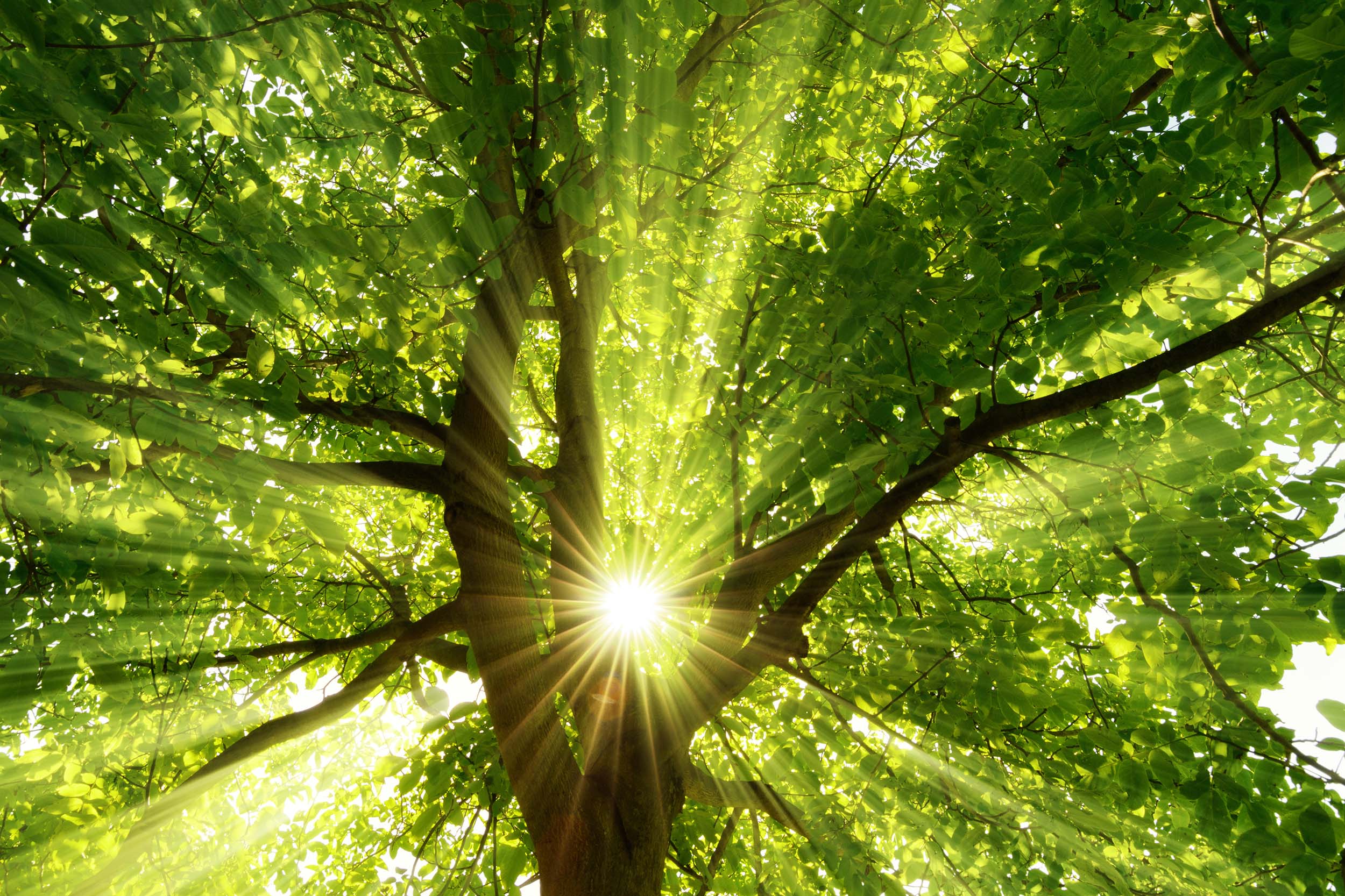 Der Kontakt mit der Natur fördert Gesundheit und Wohlbefinden - &copy Smileus