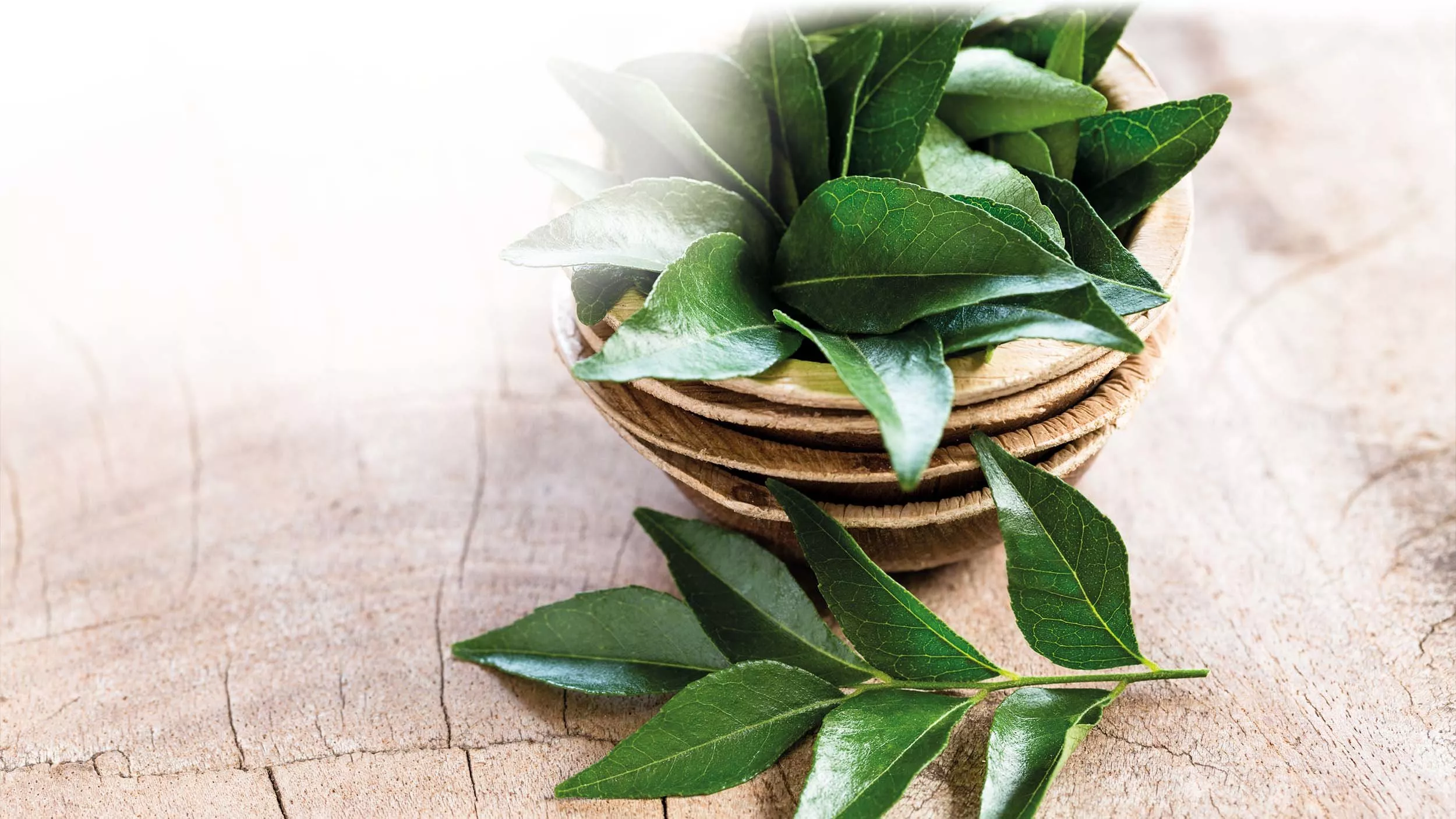 Eisen aus Curryblatt: Nicht nur für Vegetarier und Veganer