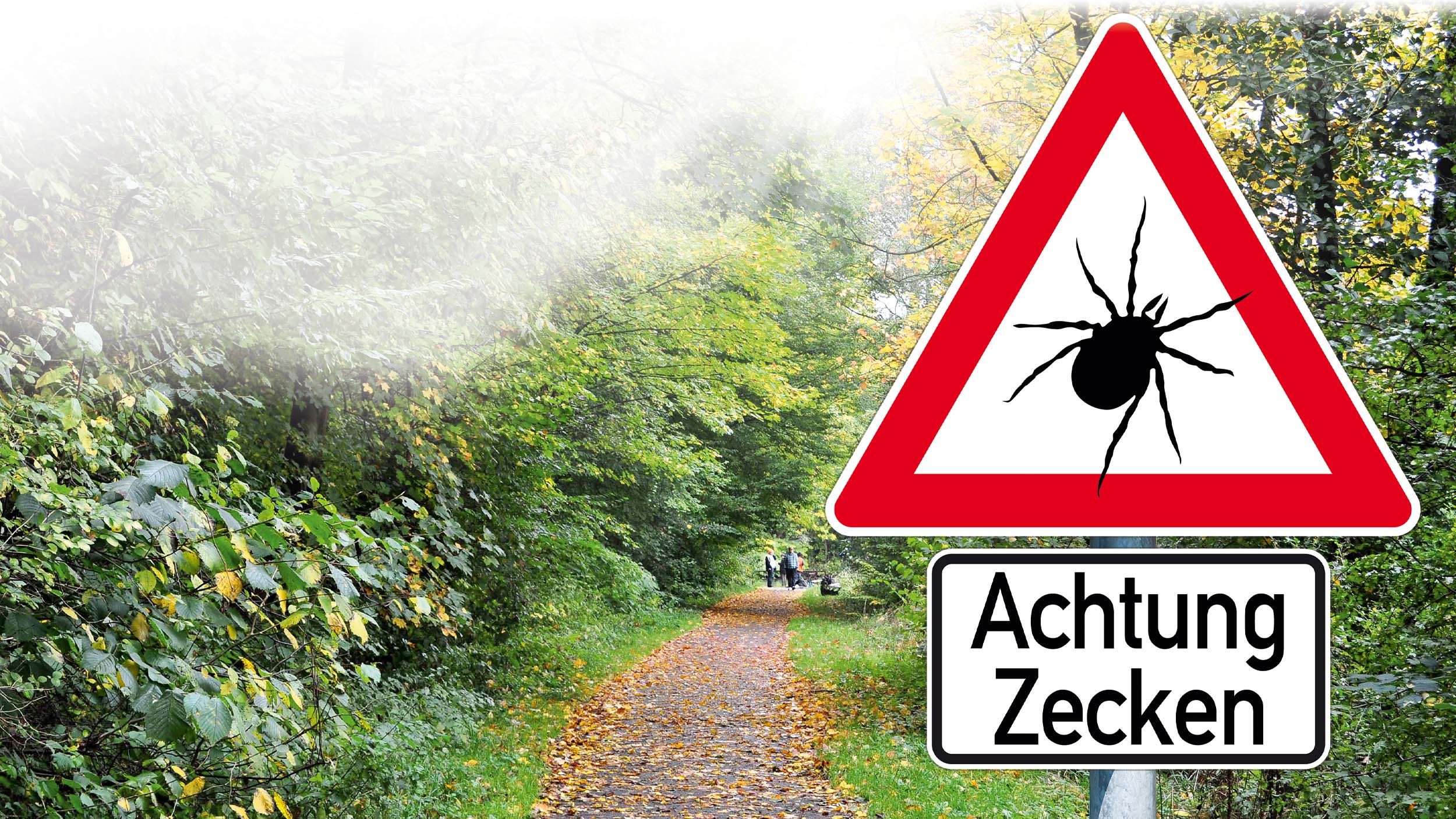 Zeckenzeit – alle Jahre früher?