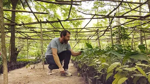 Klimawandel und nachhaltige Landwirtschaft: ökologische und soziale Verbesserungen durch syntropischen Agroforst in Togo