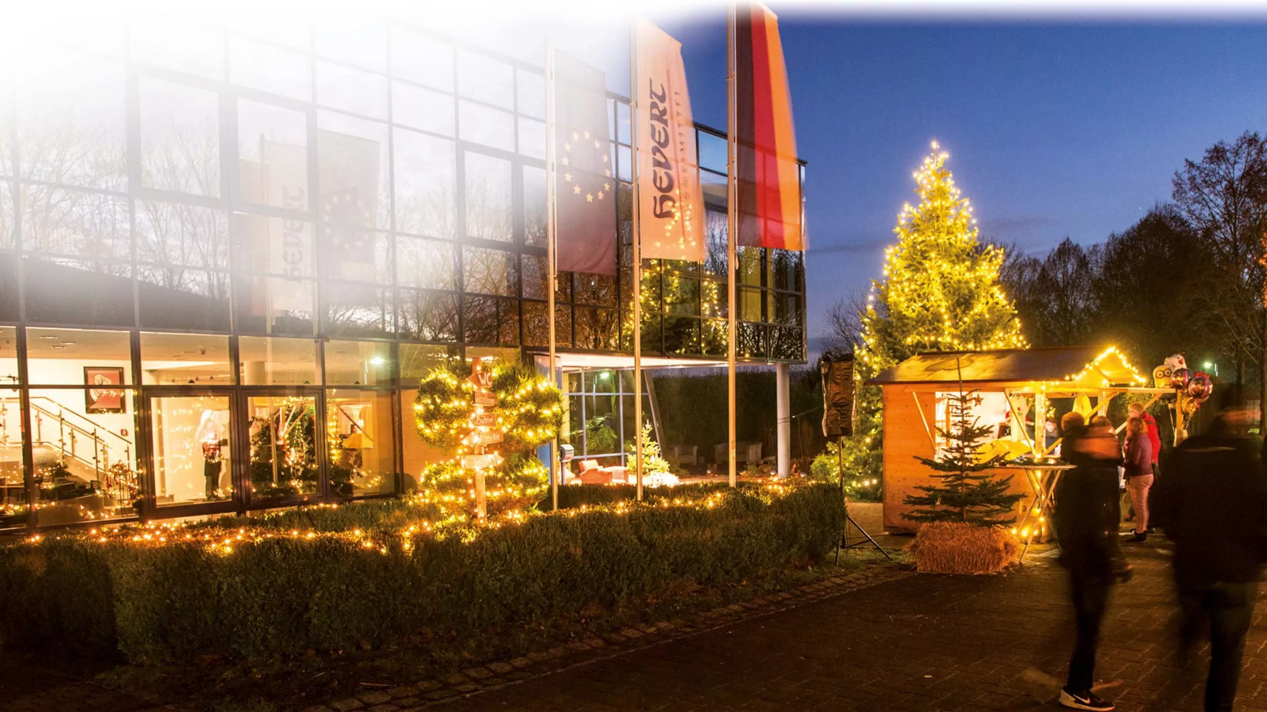 Tradition und Nachhaltigkeit: Hevert-Tipps für ein umweltfreundliches Weihnachtsfest