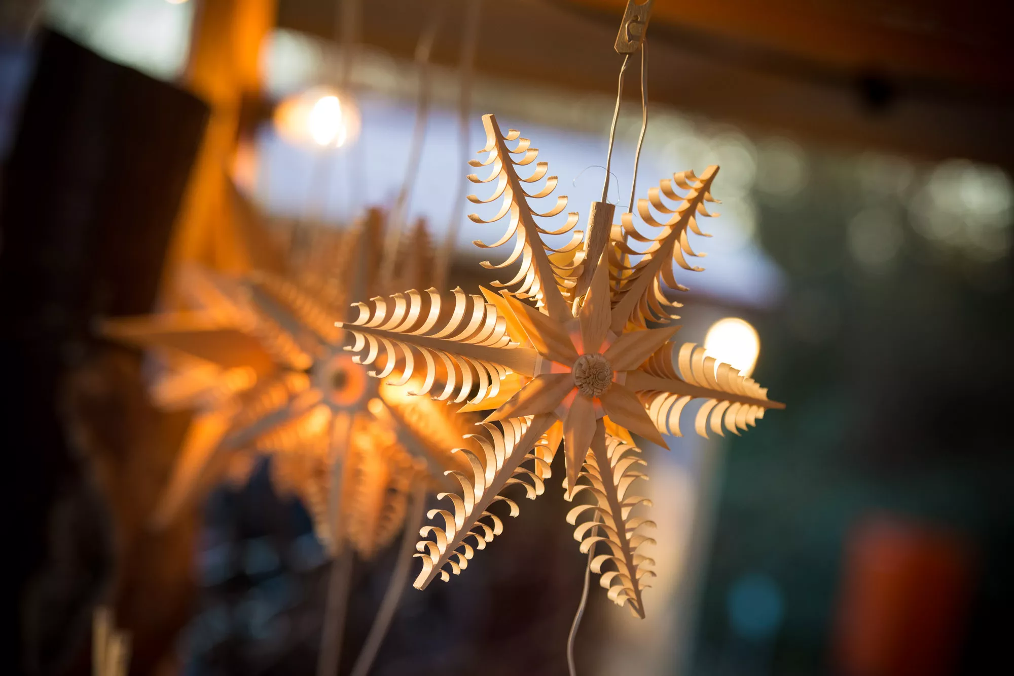 Tradition und Nachhaltigkeit: Hevert-Tipps für ein umweltfreundliches Weihnachtsfest