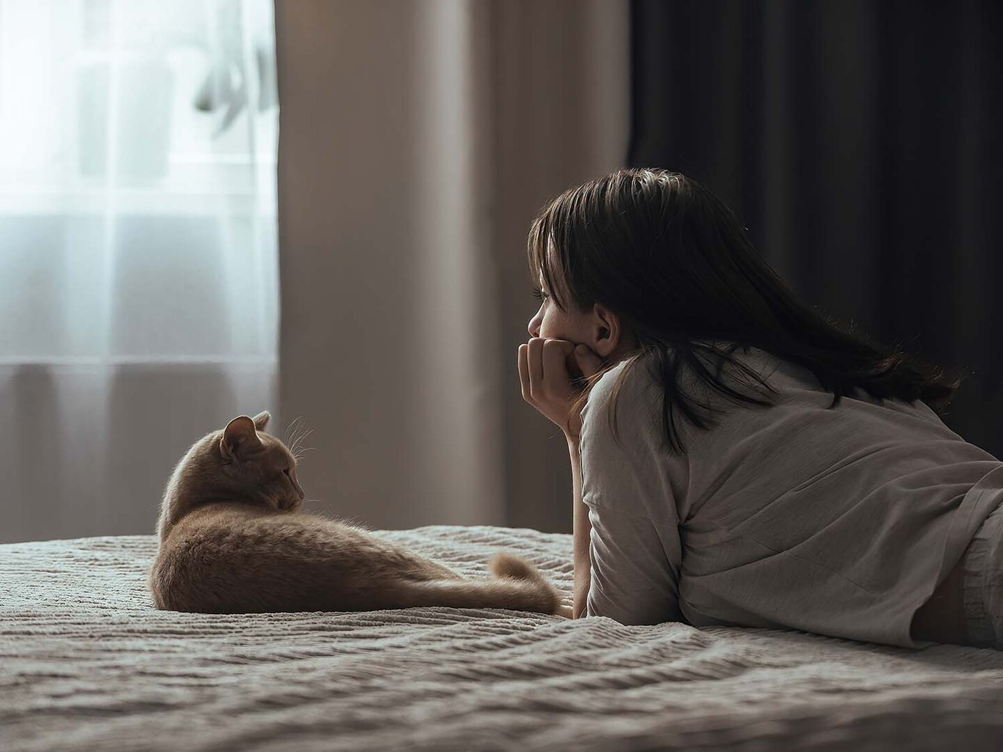 Winterblues und „Blue Monday“ – was steckt dahinter?