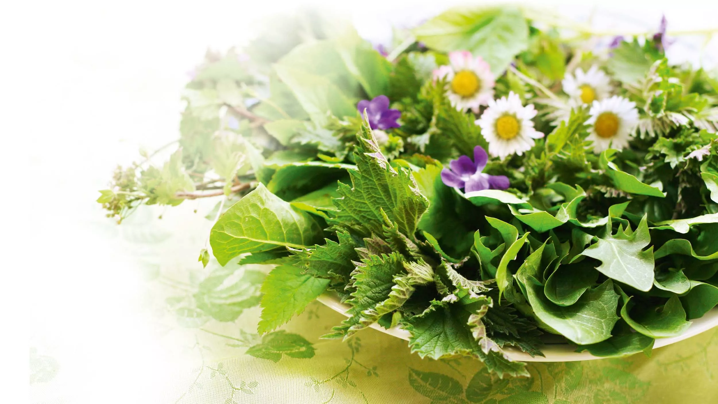 Frühlings-Detox-Kur: Modetrend oder wertvoller Impuls für die Gesundheit