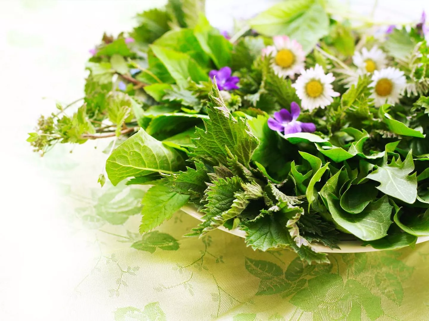 Frühlings-Detox-Kur: Modetrend oder wertvoller Impuls für die Gesundheit