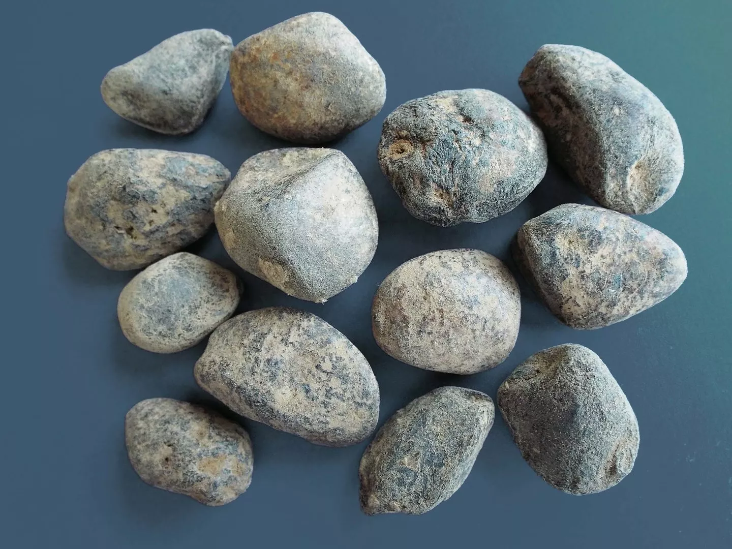 Ignatia – die Trostpflanze bei innerem Kummer und emotionaler Verletzung - &copy Hevert