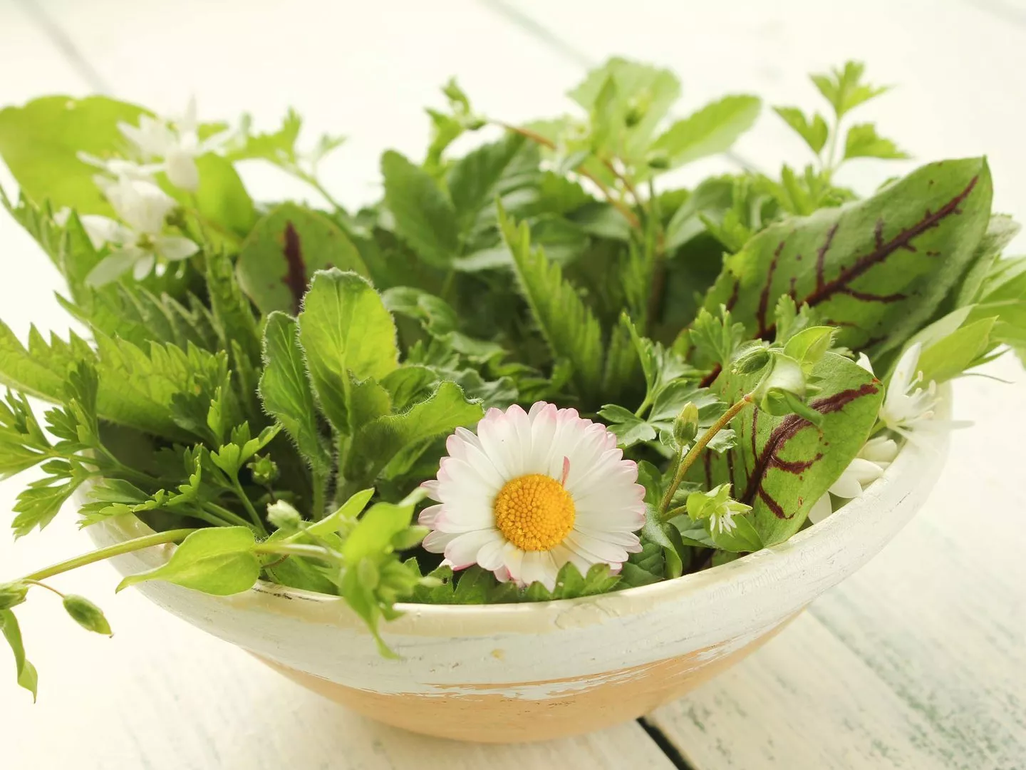 Wild Wildkräuter frischer Salat Wildkräutersalat Schale Tisch frisch essbare Blüten - &copy eflstudioart