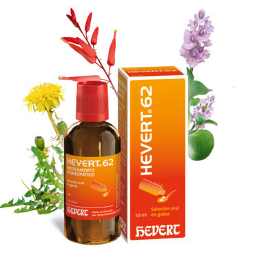 Hevert 62 – Digesto Hevert