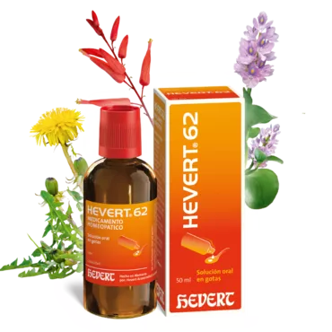 Hevert 62 – Digesto Hevert