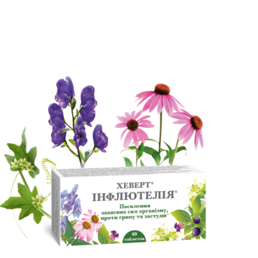 Hevert Inflyuteliya
