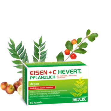 Eisen + C Hevert pflanzlich