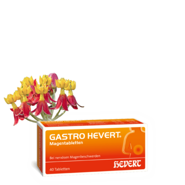 Gastro Hevert Magentabletten