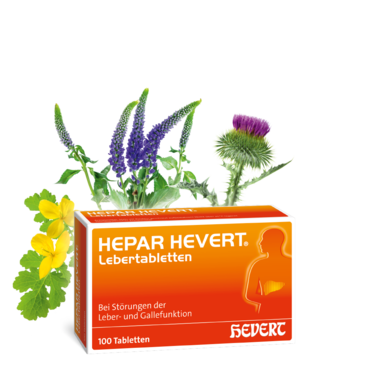 Hepar Hevert Lebertabletten