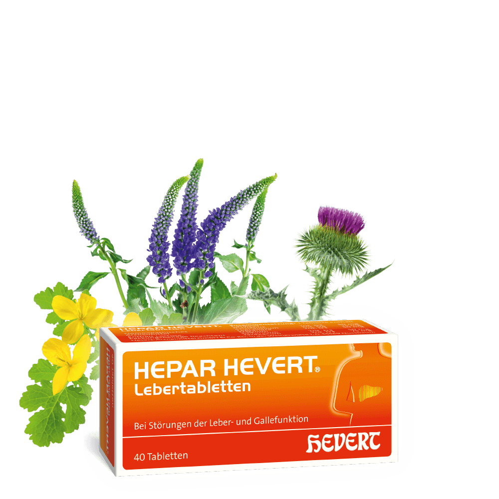 Hepar Hevert Lebertabletten