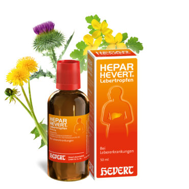 Hepar Hevert Lebertropfen