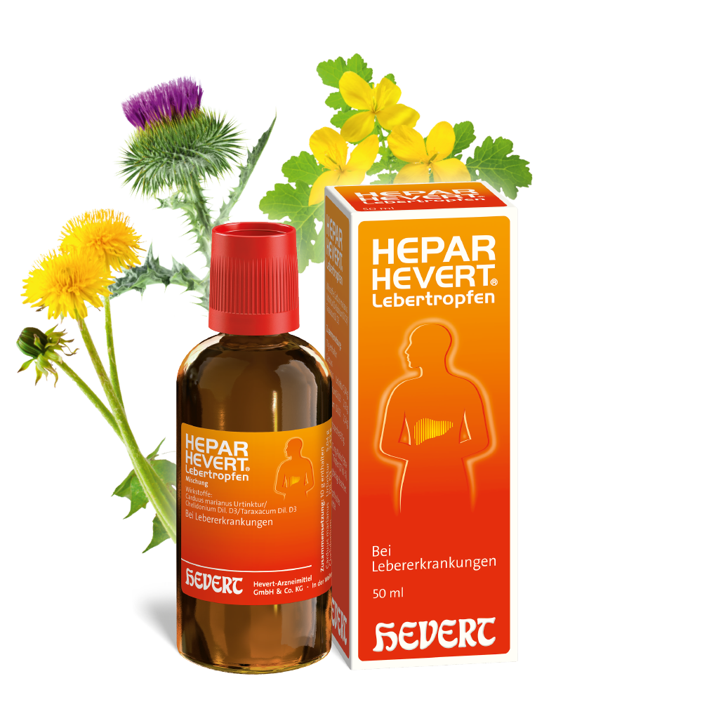 Hepar Hevert Lebertropfen