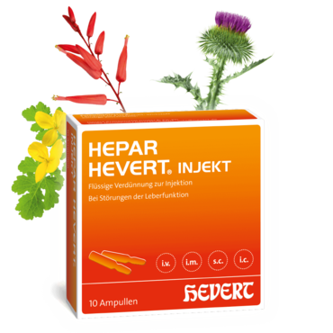 Hepar Hevert injekt