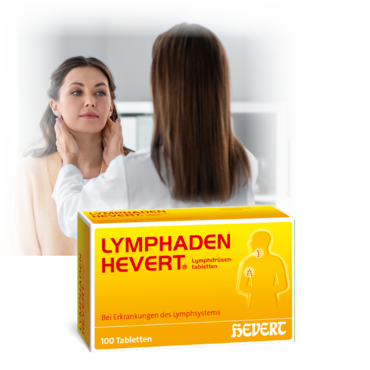 Lymphaden Hevert Lymphdrüsentabletten