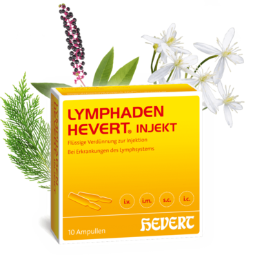 Lymphaden Hevert injekt
