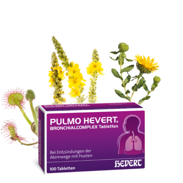 Pulmo Hevert Bronchialcomplex Tabletten