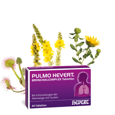 Pulmo Hevert Bronchialcomplex Tabletten
