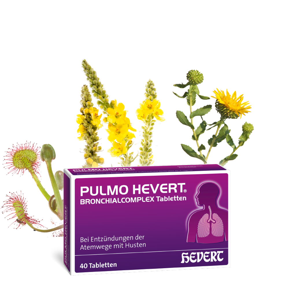 Pulmo Hevert Bronchialcomplex Tabletten