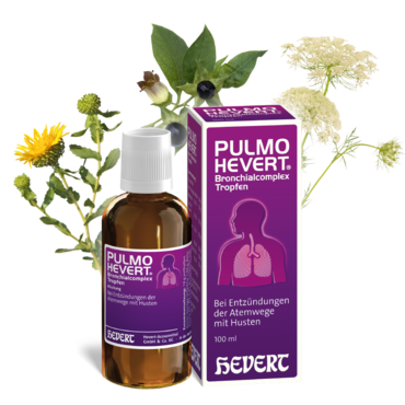 Pulmo Hevert Bronchialcomplex Tropfen