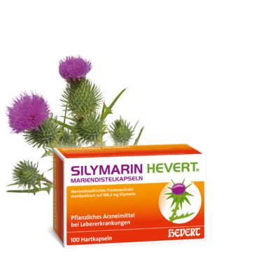 Silymarin Hevert Mariendistelkapseln