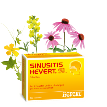 Sinusitis Hevert