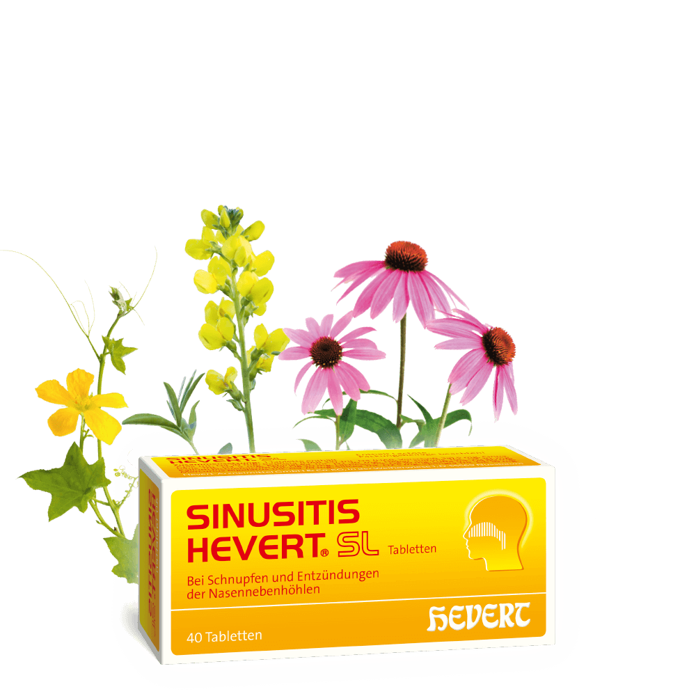 Sinusitis Hevert
