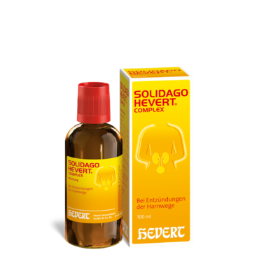 Solidago Hevert Complex