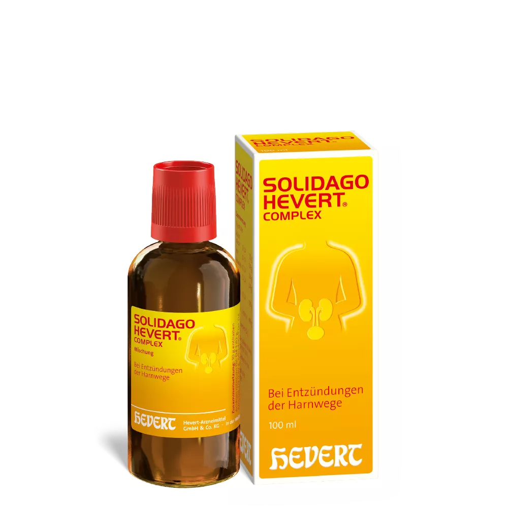 Solidago Hevert Complex